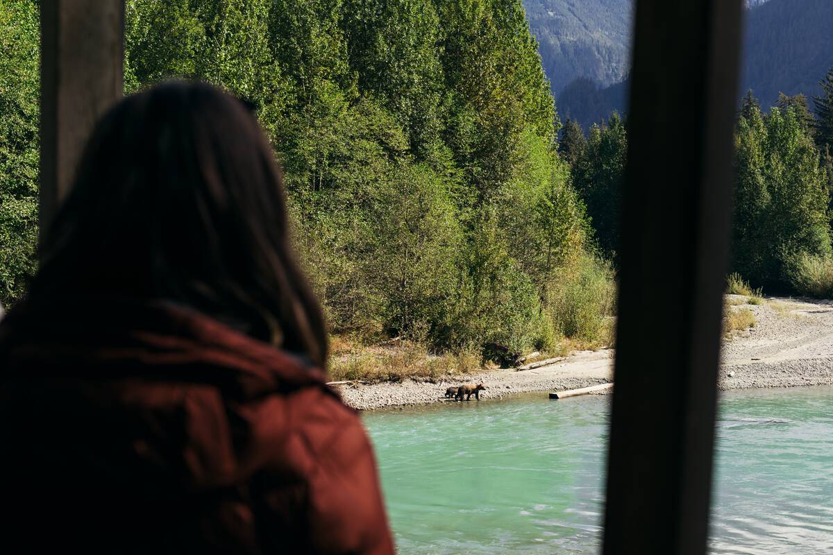 A person with long dark hair standing in an estuary looking out to a grizzly bear in water