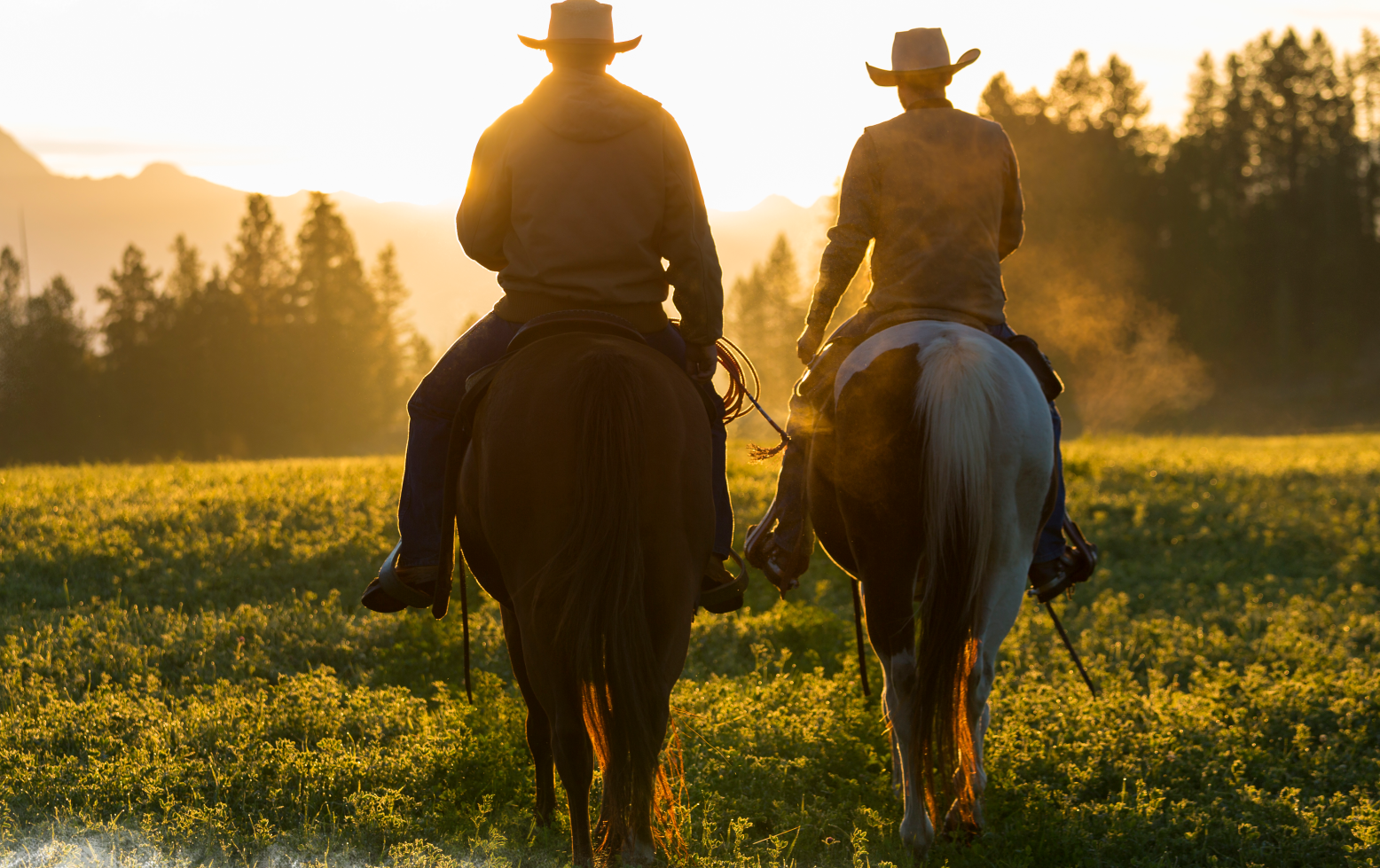 Trail Rides at Big Bar Guest Ranch