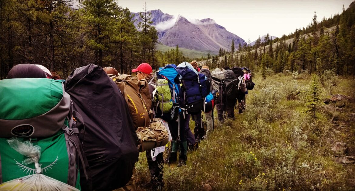 Group of women looking out at tree line in the mountains on an adventure with Peak Wyld Co.