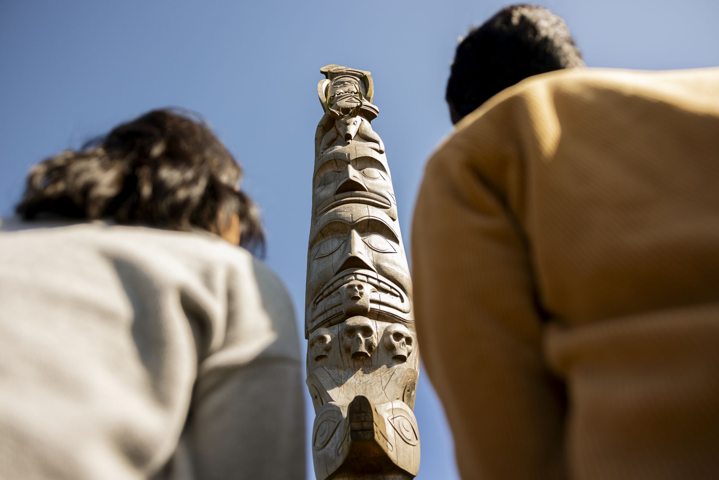 Two people with their backs facing the camera looking up at a totem pole