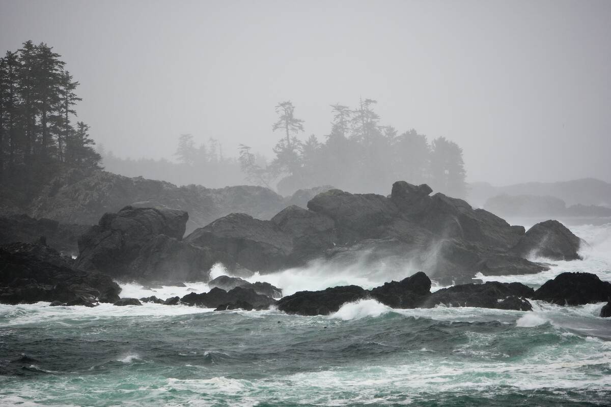 Fog, mist, and ocean waves in Ucluelet, BC, during storm watching season.