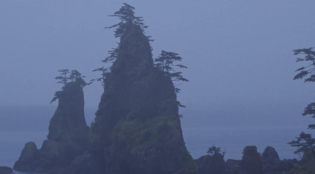 Cox Bay Haida Gwaii coastline