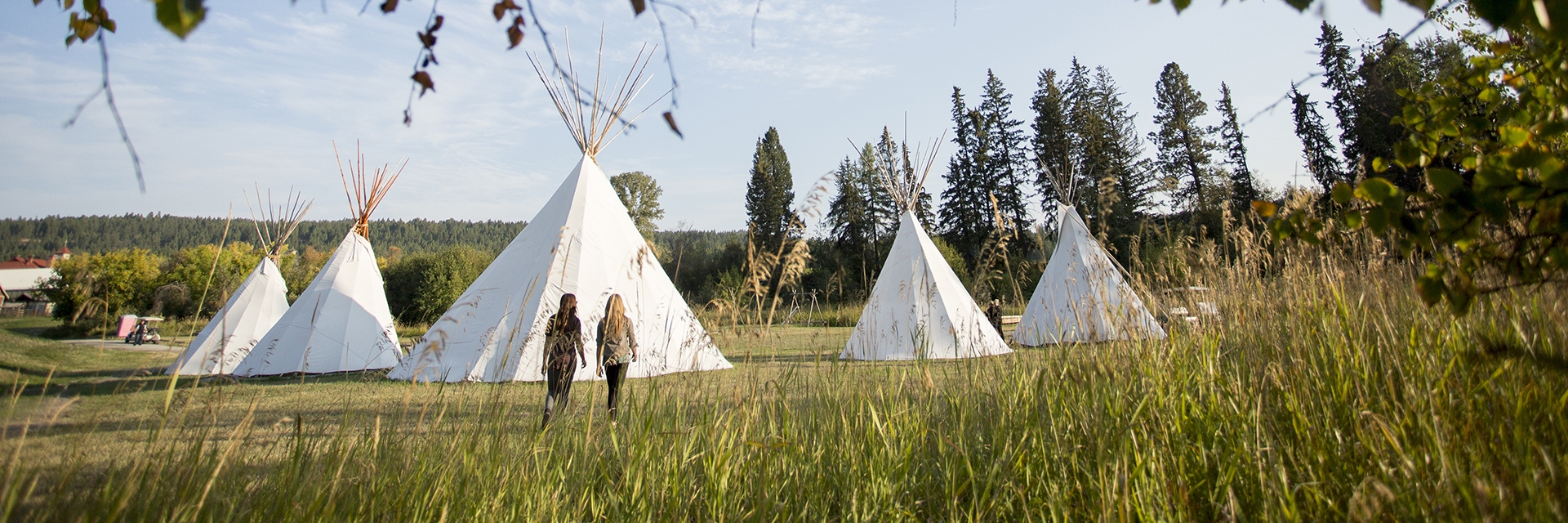 A collection of white teepees in a grassy field