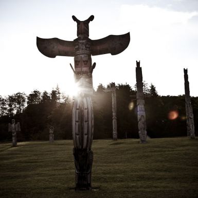 A collection of totem poles stand in a field while the sun shines in the background behind trees