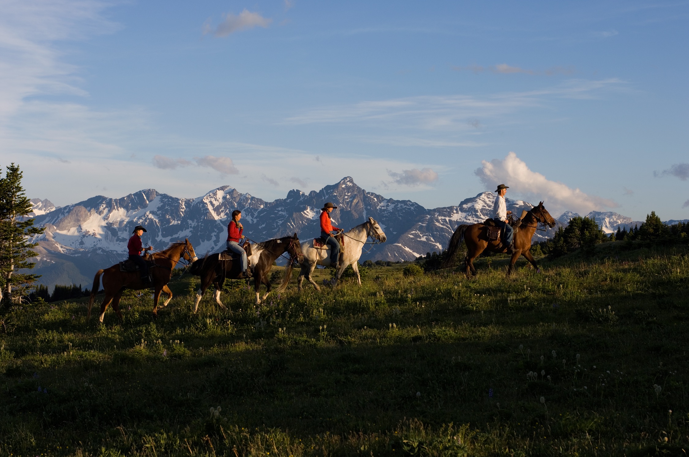 Four horses and riders make their way along a hill with the Potato Mountains in the background