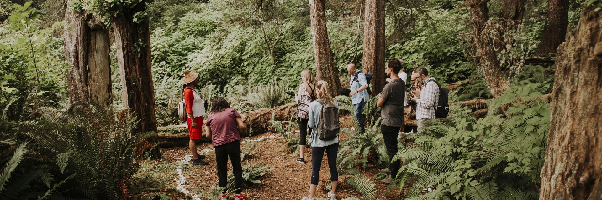 A group gathers in the Vancouver Island rainforest during a tour.