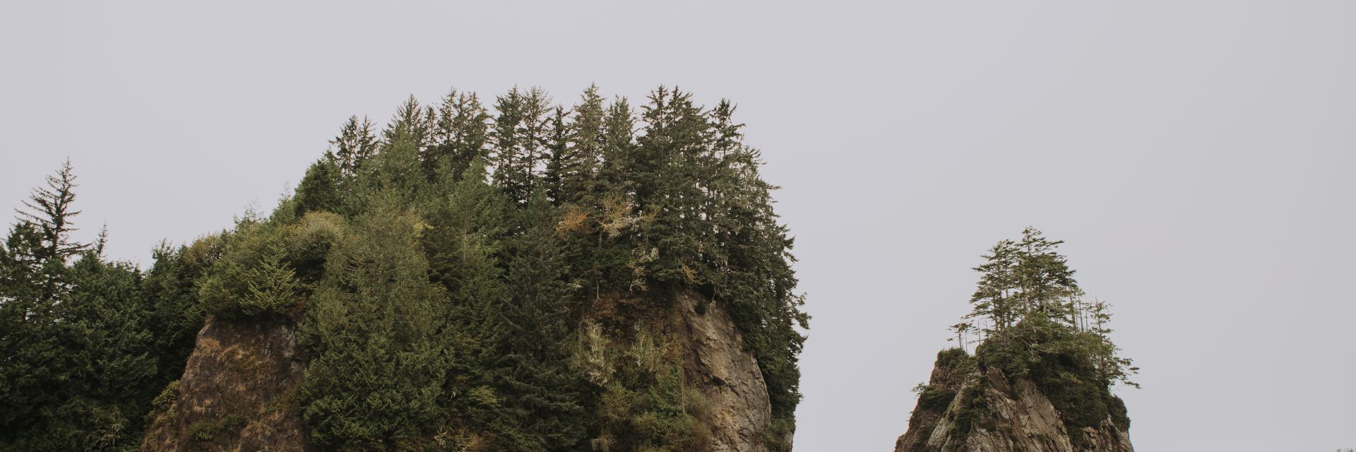 Rock formations form small islands along a Vancouver Island shore.