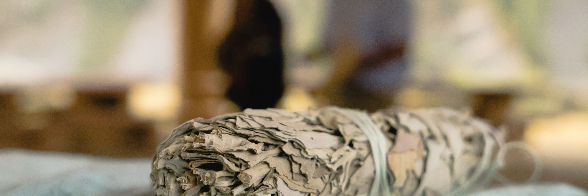 bundle of herbs for traditional ritual